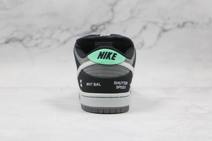 Nike SB Dunk Low Vx1000 