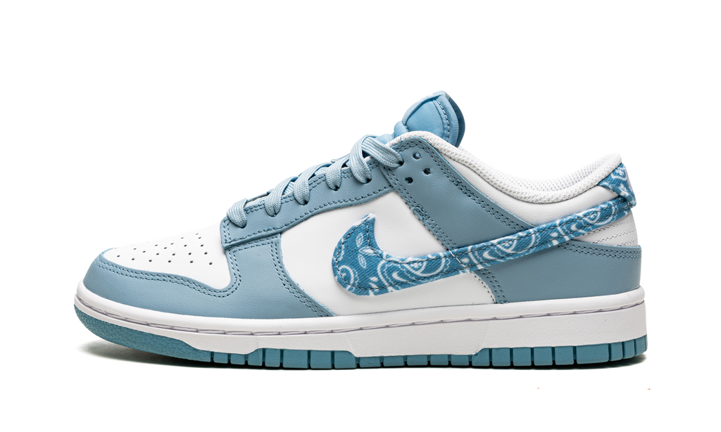 Nike Dunk Low Essential Paisley Pack Worn 