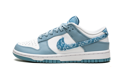 Nike Dunk Low Essential Paisley Pack Worn 