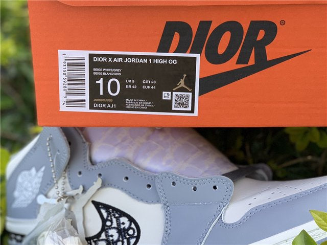 Jordan 1 Retro High Dior 