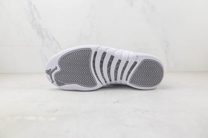 Jordan 12 Stealth 