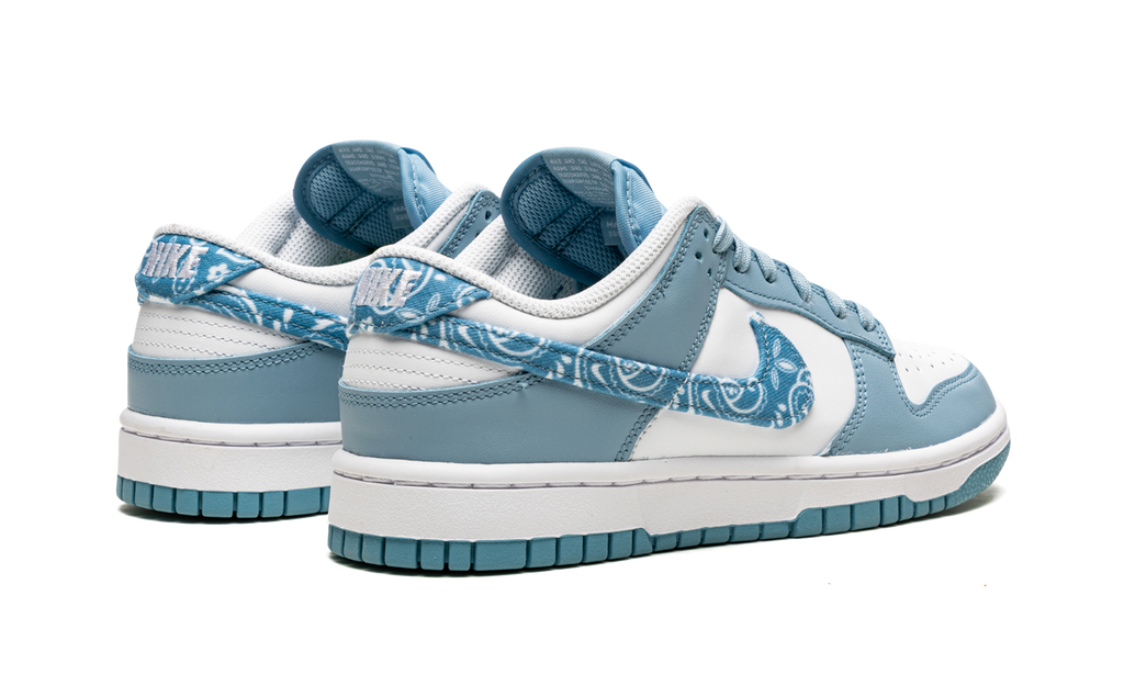 Nike Dunk Low Essential Paisley Pack Worn 