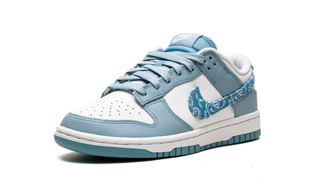 Nike Dunk Low Essential Paisley Pack Worn 