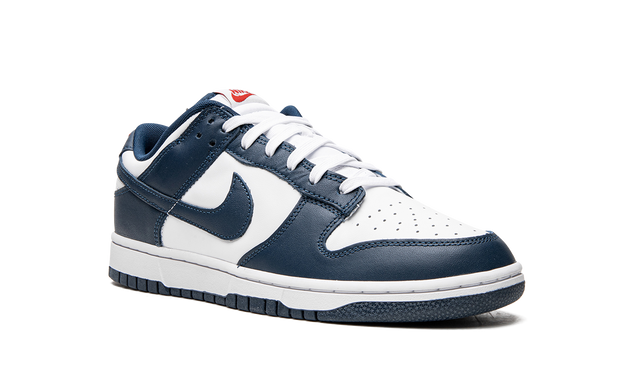 Nike Dunk Low Valerian Blue 