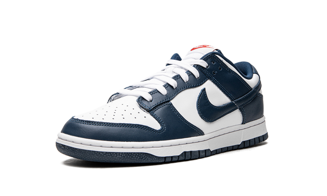 Nike Dunk Low Valerian Blue 