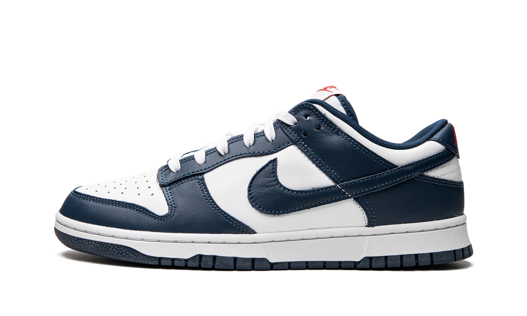 Nike Dunk Low Valerian Blue 