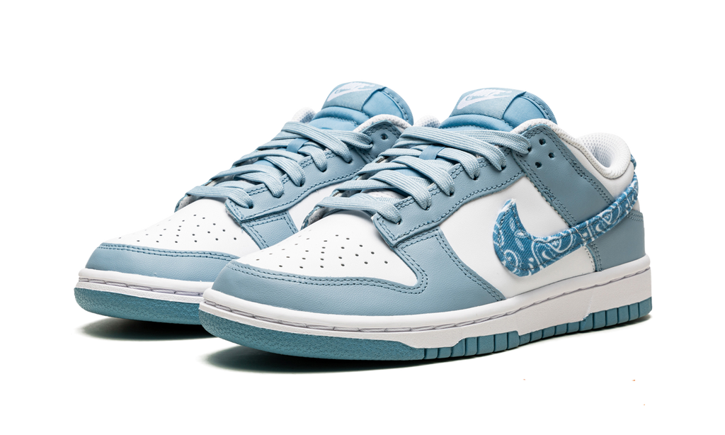 Nike Dunk Low Essential Paisley Pack Worn 
